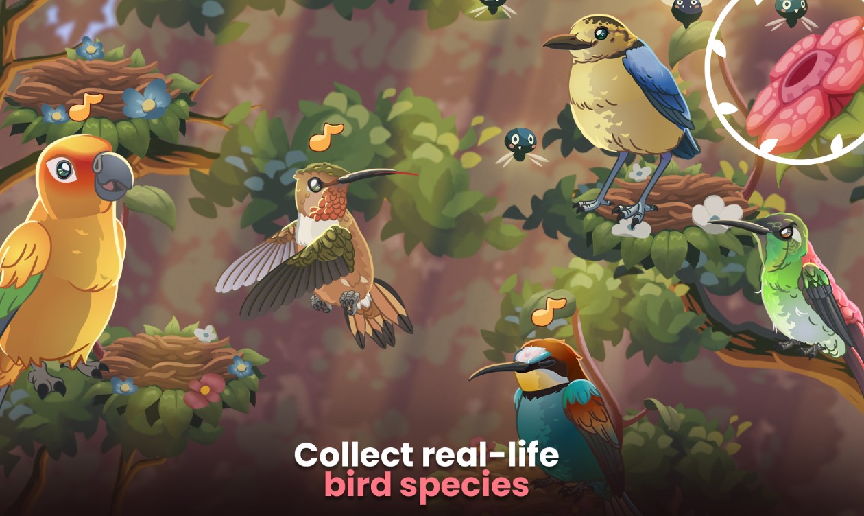 bird-kind-mod-apk